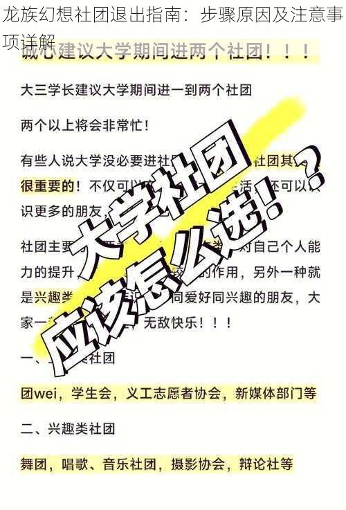 龙族幻想社团退出指南：步骤原因及注意事项详解