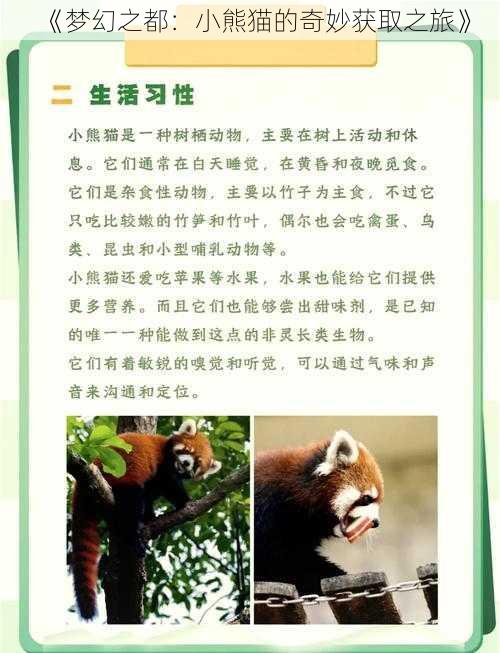 《梦幻之都：小熊猫的奇妙获取之旅》