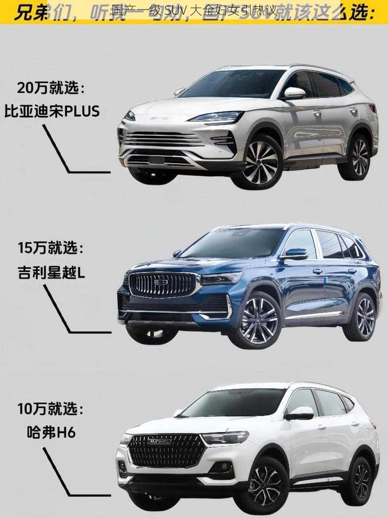 国产一级 SUV 大全妇女引热议