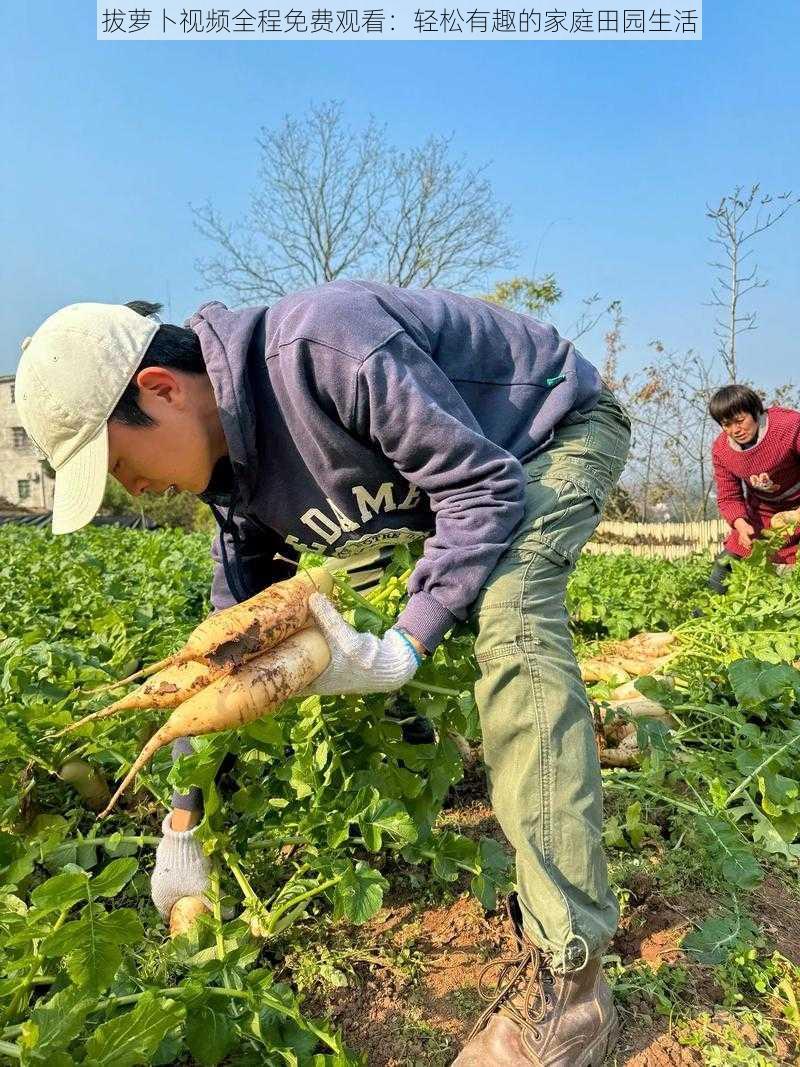 拔萝卜视频全程免费观看：轻松有趣的家庭田园生活