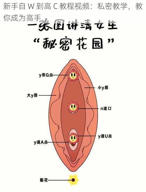 新手自 W 到高 C 教程视频：私密教学，教你成为高手